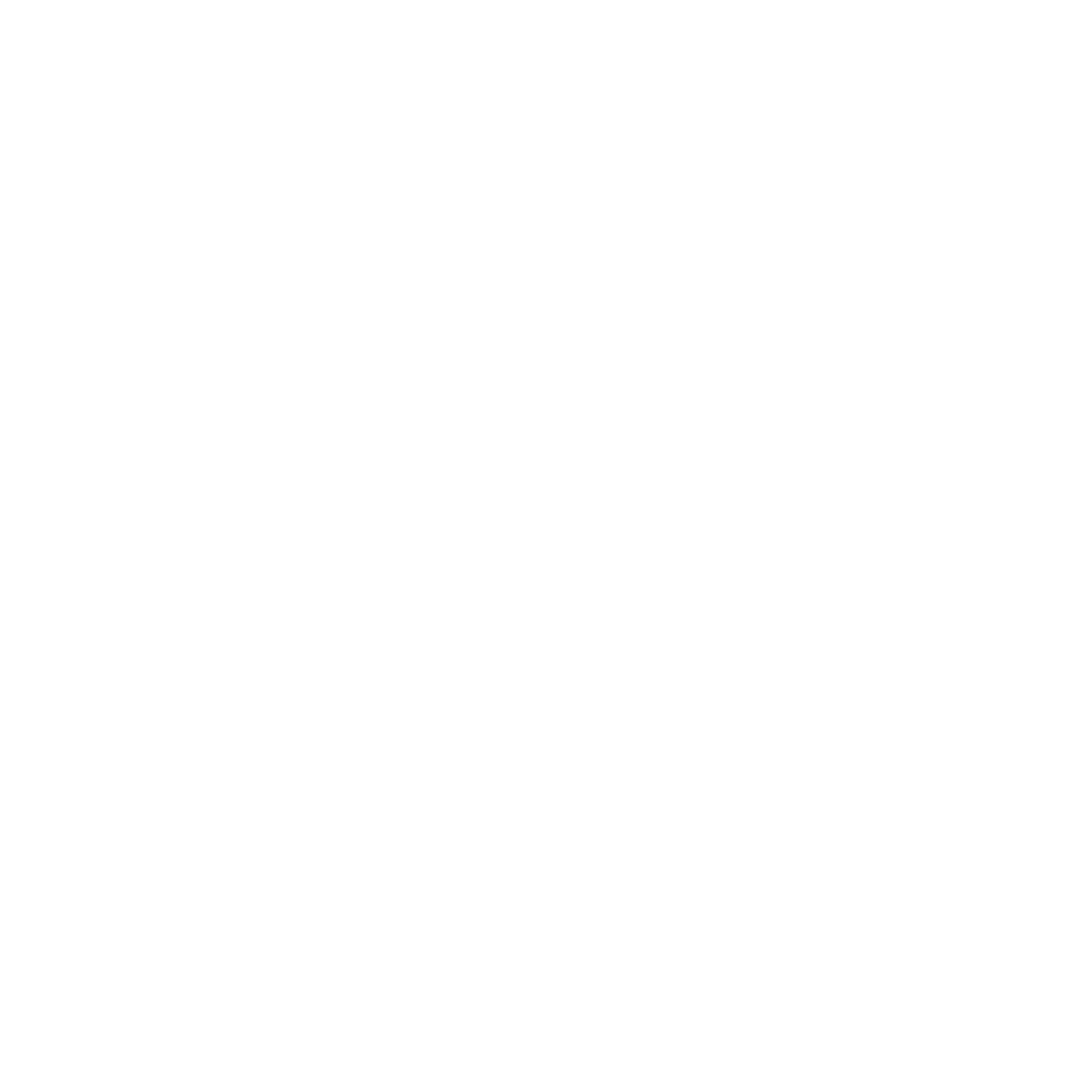 Tiger Group logo